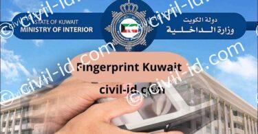 Easy Steps for e passport check online Kuwait